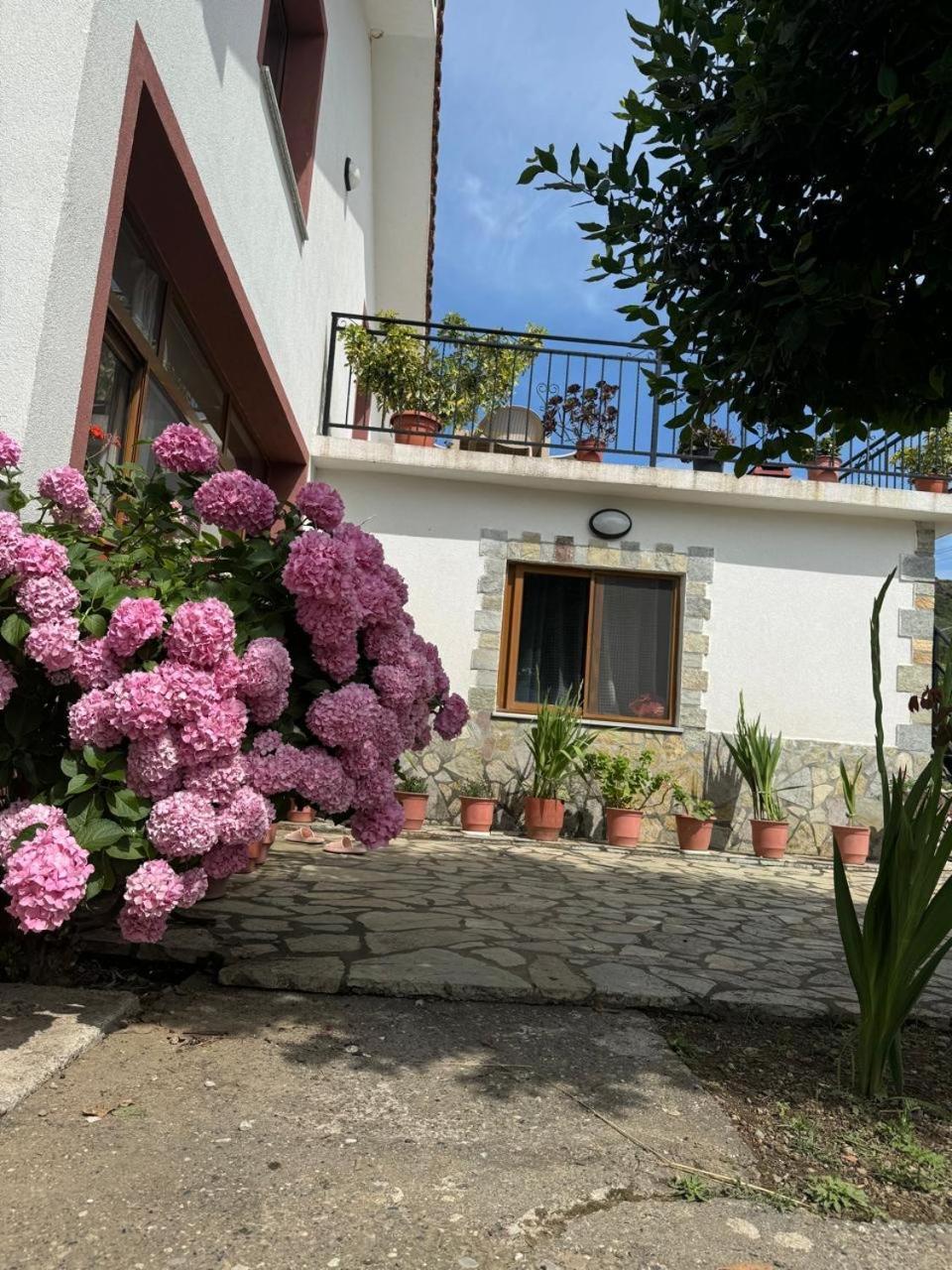 Villa Zefi Rrenc Papaj 외부 사진